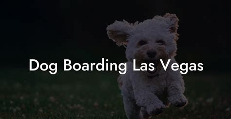 cheap dog boarding las vegas.